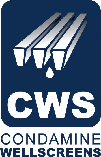 CWS + text Logo V P295 C CWS + text Logo V P295 C